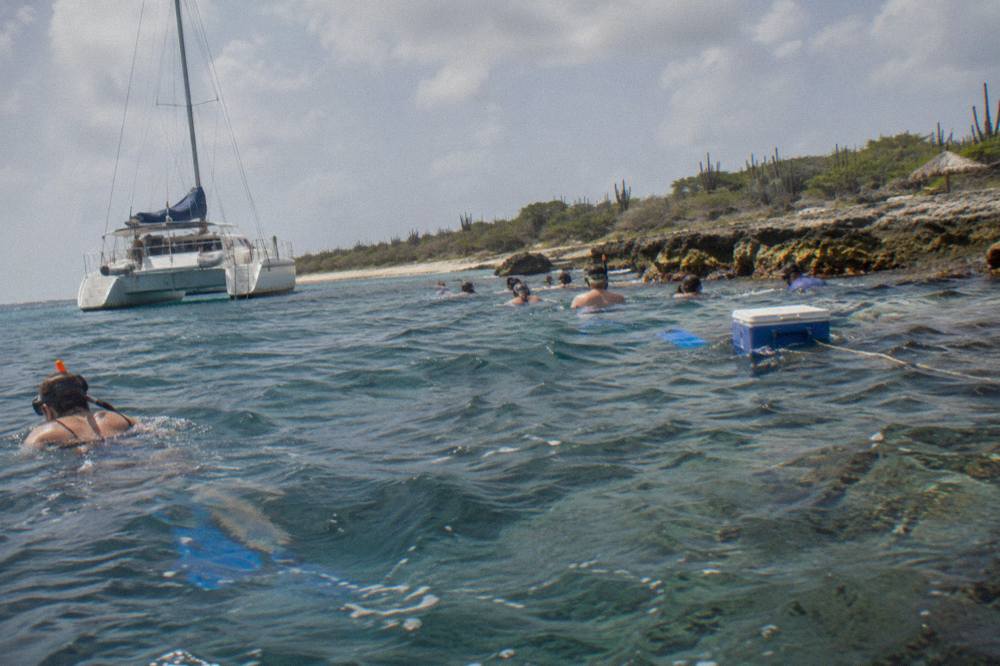 A catamaran with snorkelers in the water beside a rocky reef in calm blue sea